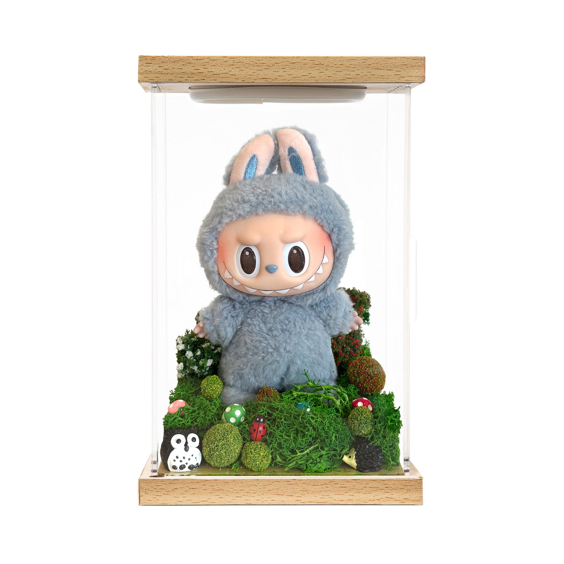Sweet Home Habitat!