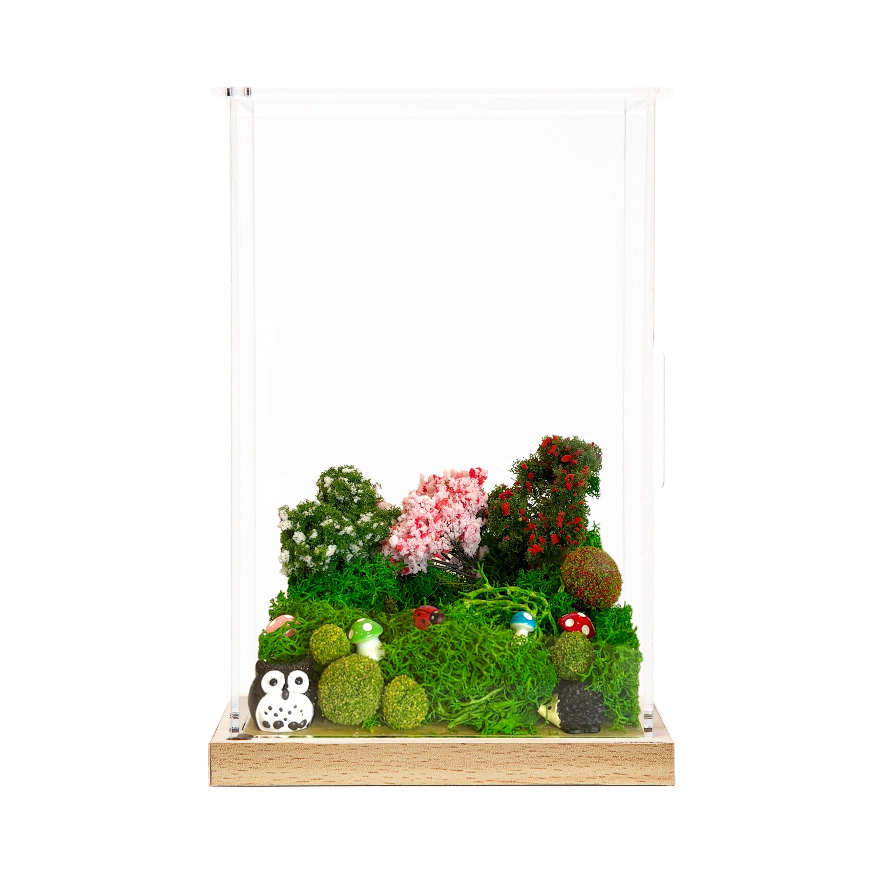 Sweet Home Habitat!
