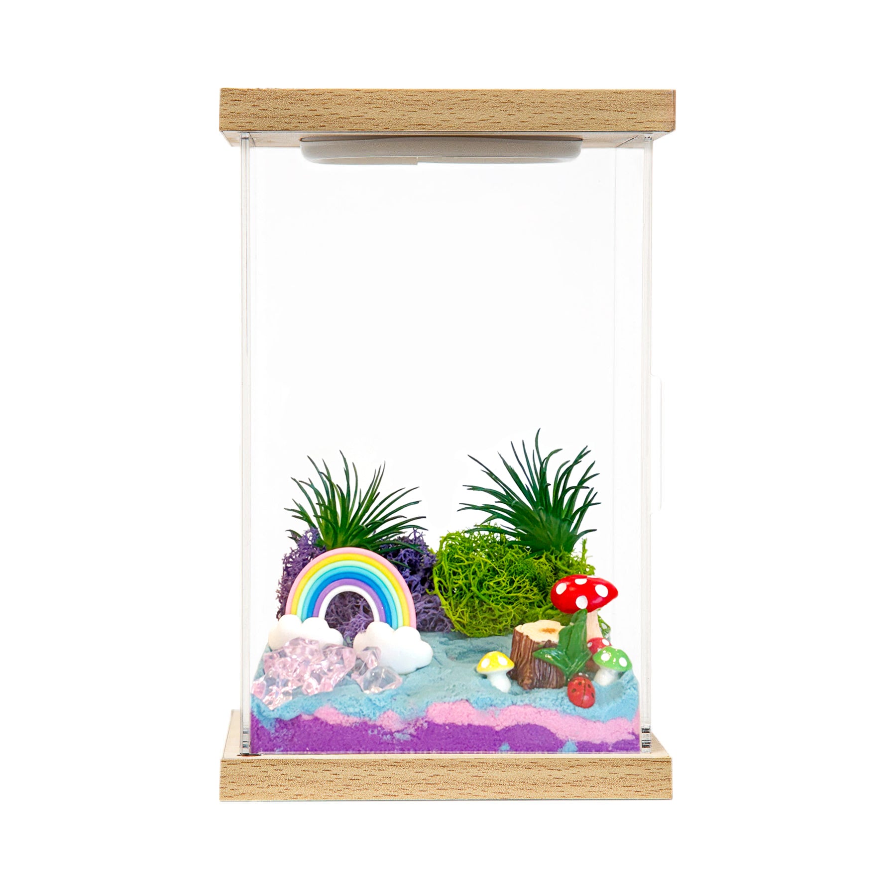 Rainbow Fairy Land!