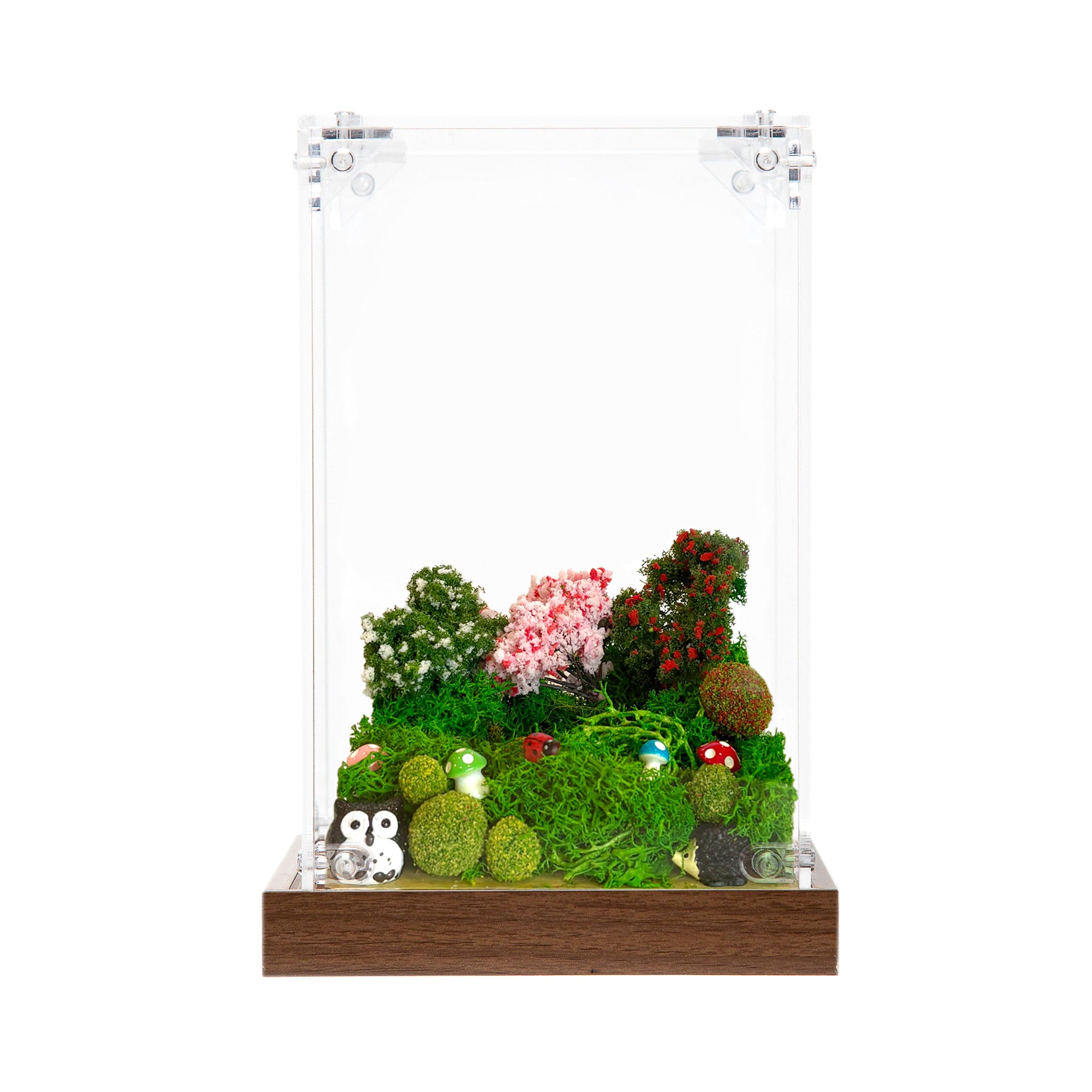 Sweet Home Habitat!