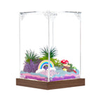 Rainbow Fairy Land!