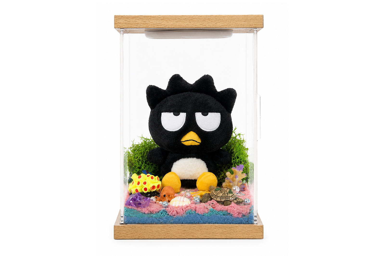 Illumina Box ocean wonderland habitat