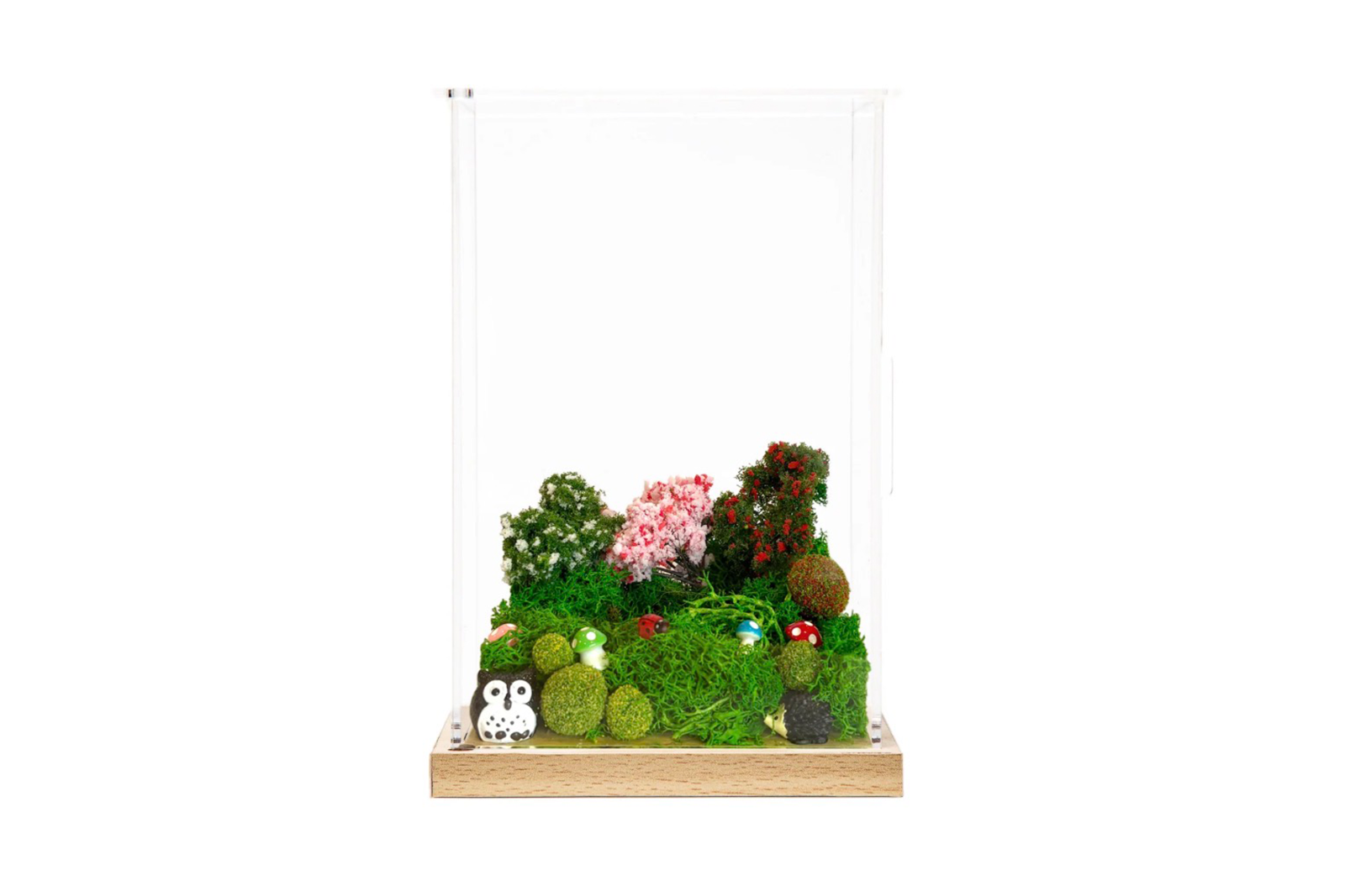 Home Habitat Basic Box