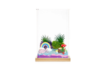 Rainbow Fairyland Habitat Basic Box