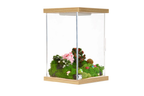 Illumina Box Home habitat