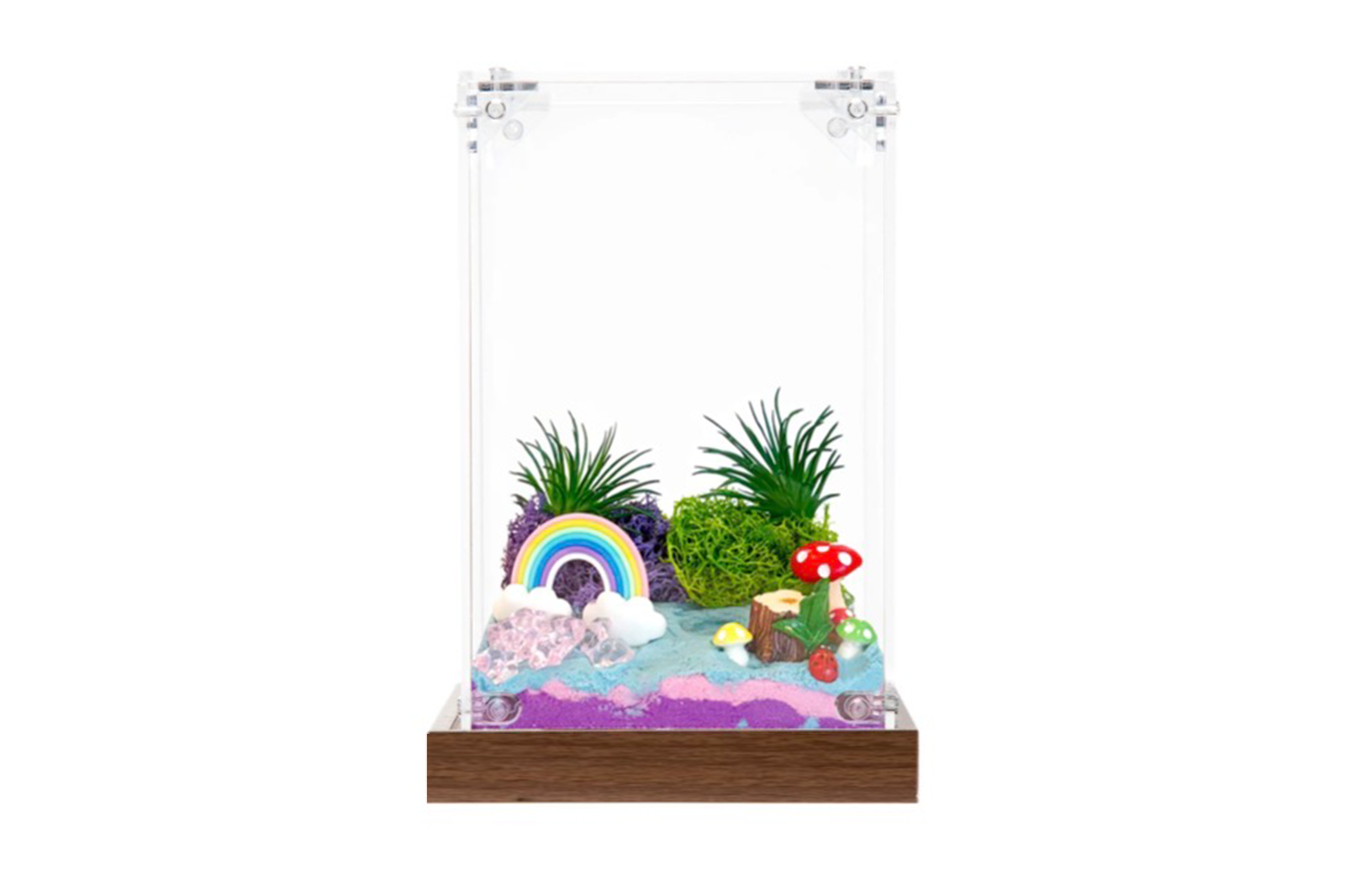 Master Box Rainbow fairyland habitat