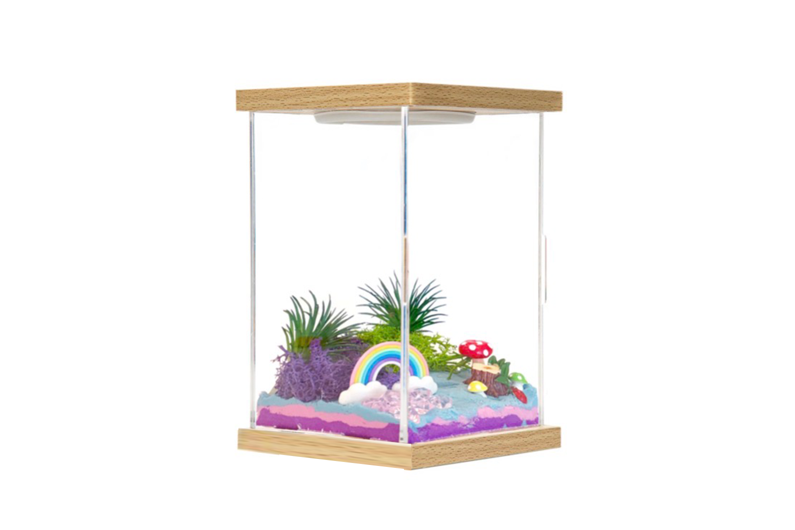 Illumina Box Rainbow Fairyland