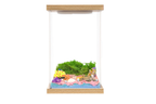 Illumina Box ocean wonderland habitat