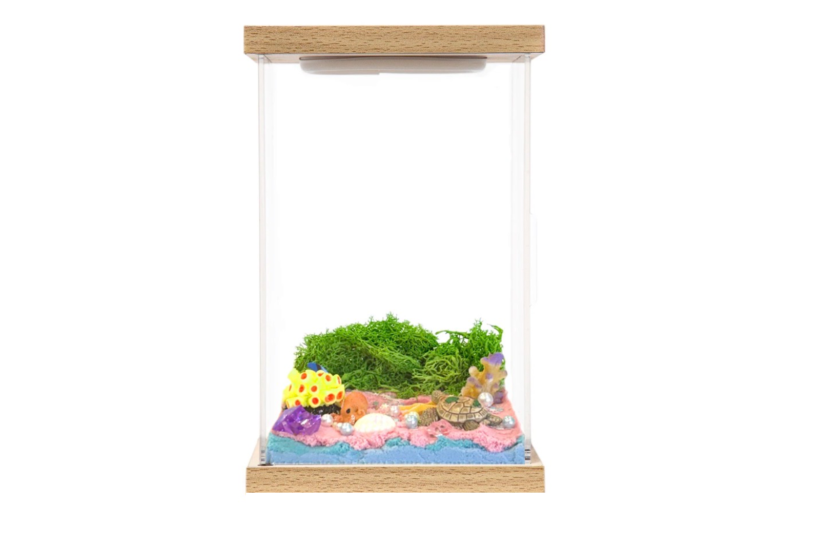 Illumina Box ocean wonderland habitat