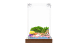 Master Box ocean wonderland habitat