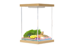 Illumina Box ocean wonderland habitat