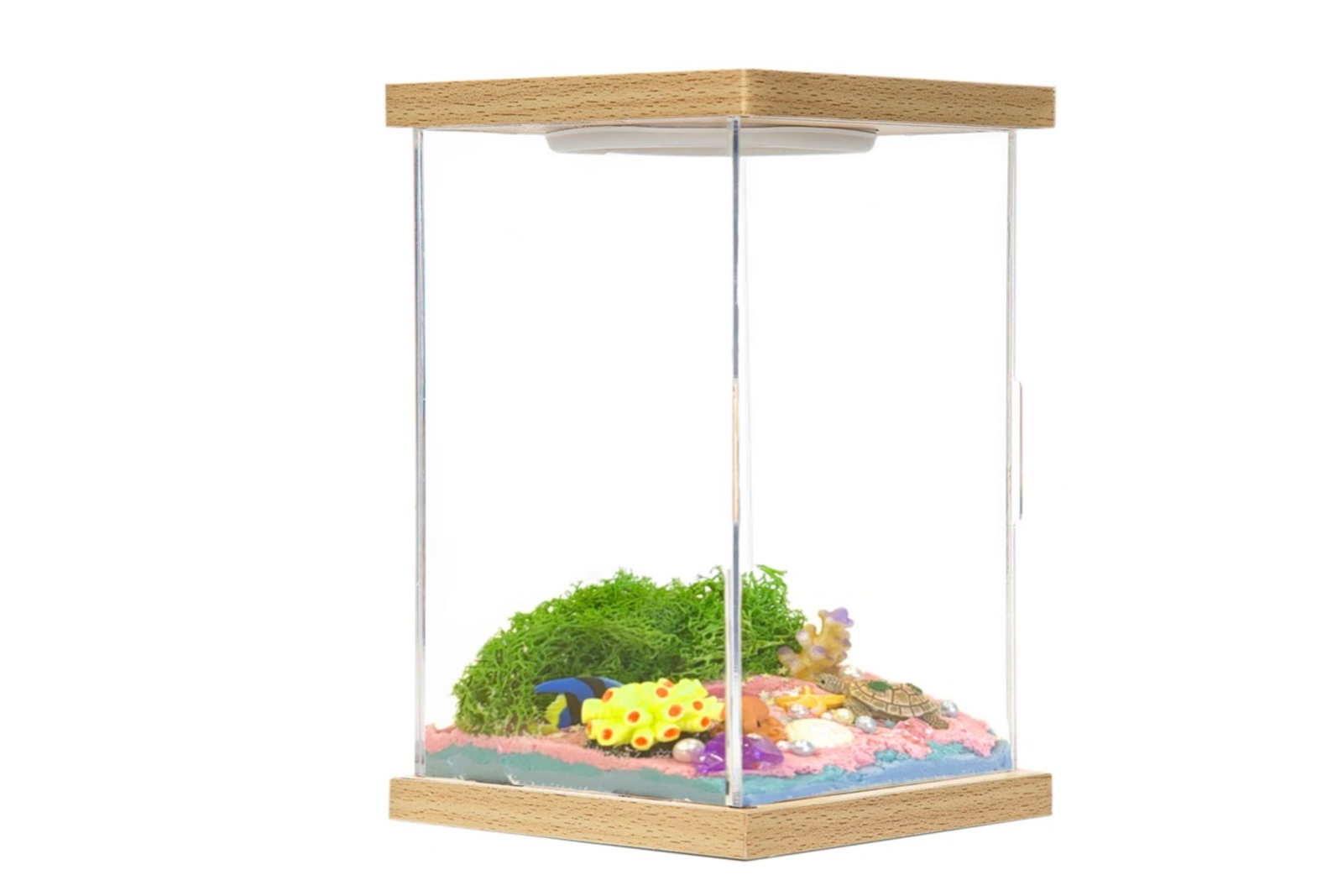 Illumina Box ocean wonderland habitat