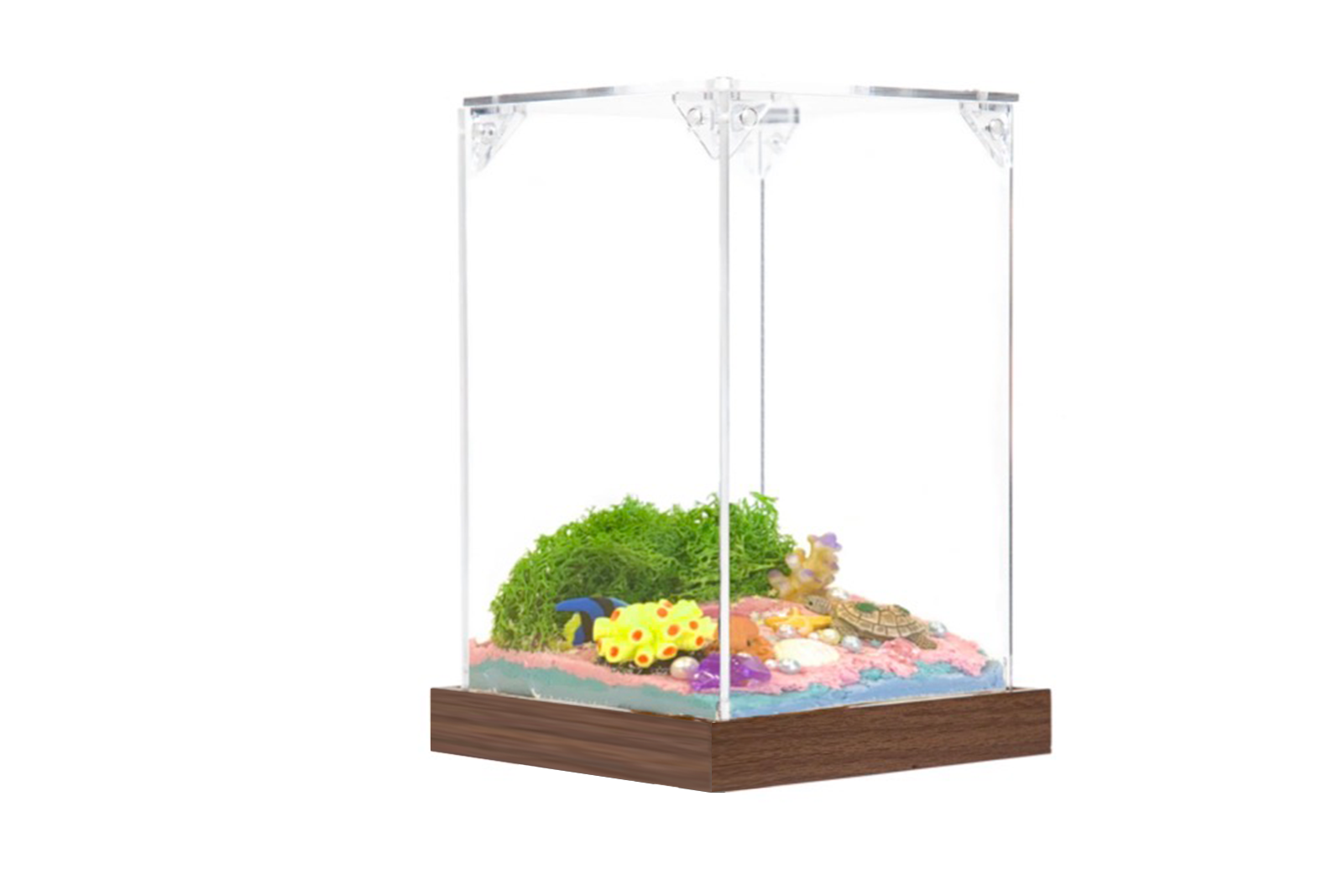 Master Box ocean wonderland habitat