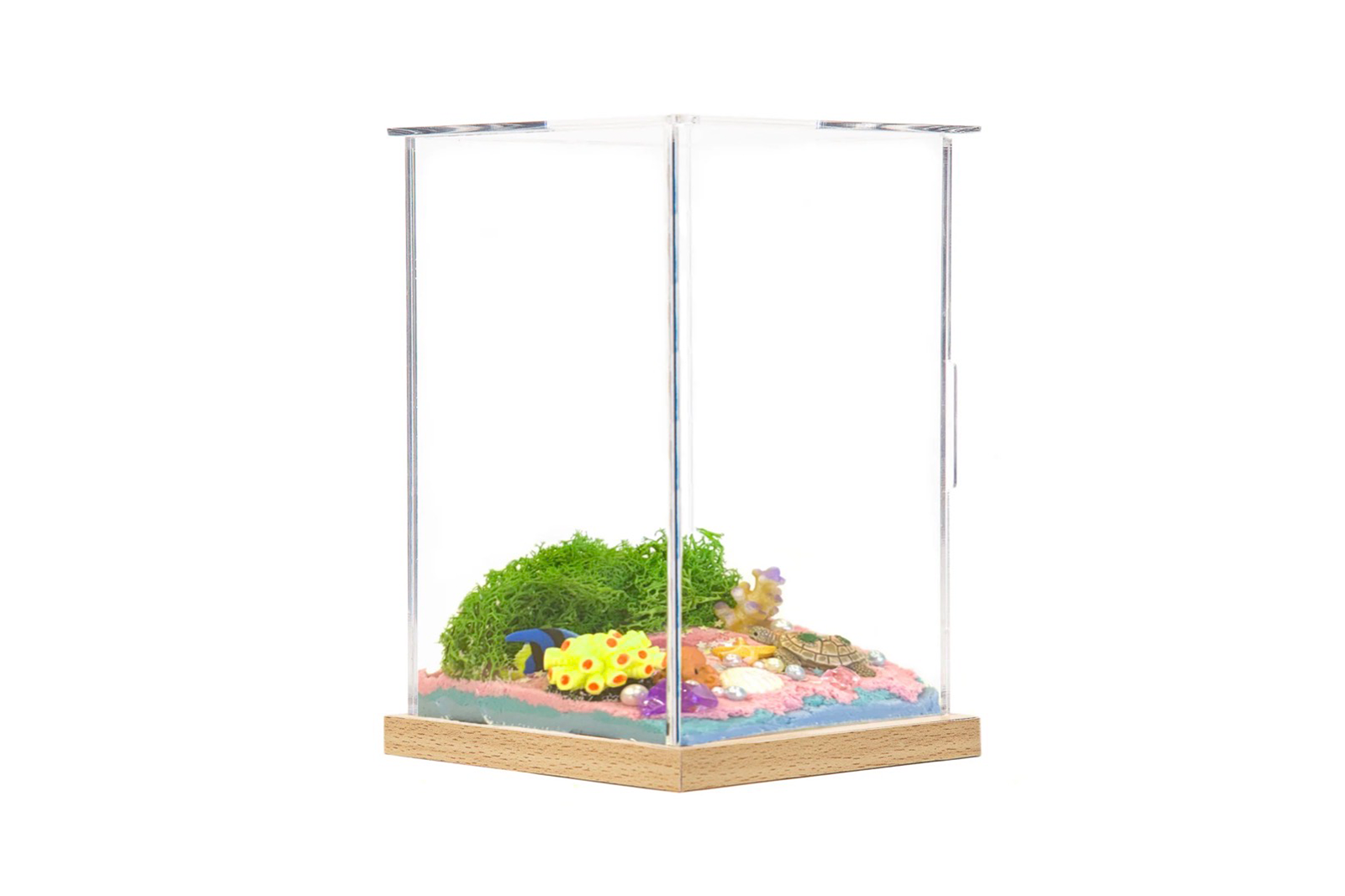 Ocean wonderland  habitat Basic Box