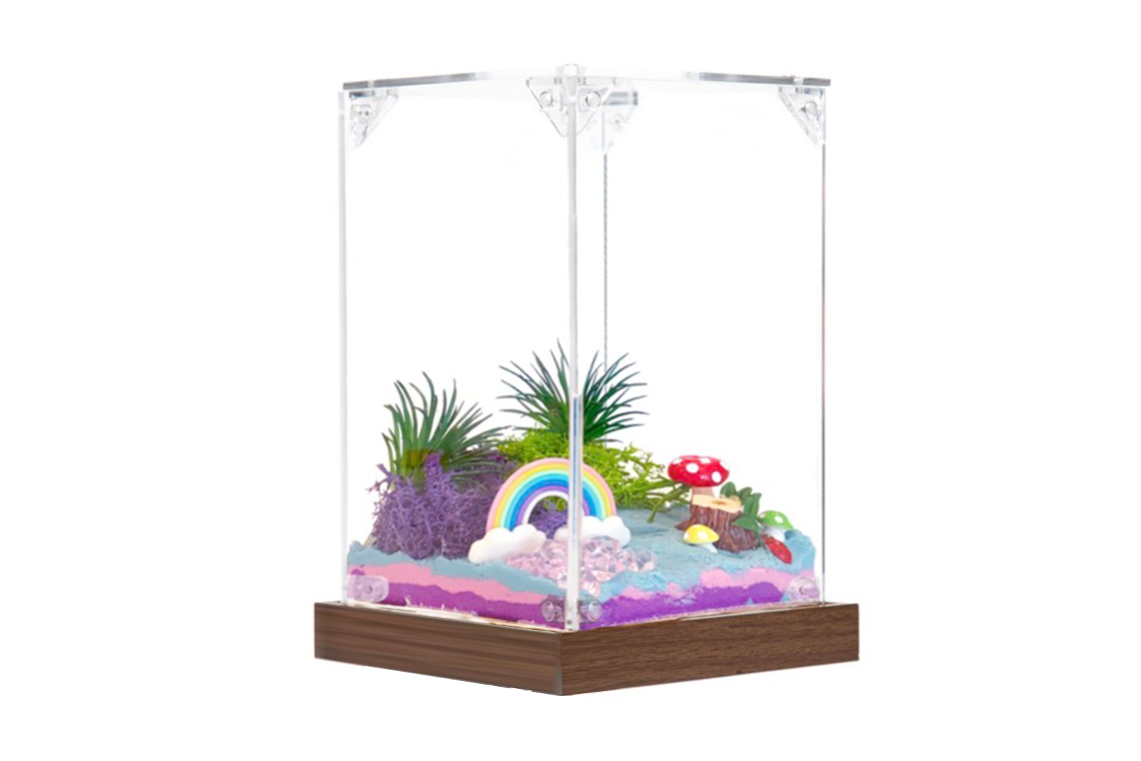 Master Box Rainbow fairyland habitat
