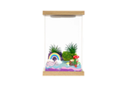 Illumina Box Rainbow Fairyland